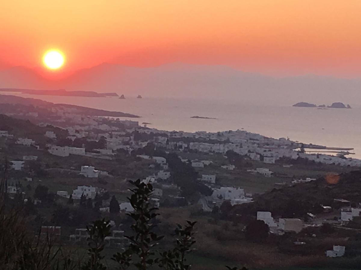 Paros Villas Nereids Екстер'єр фото